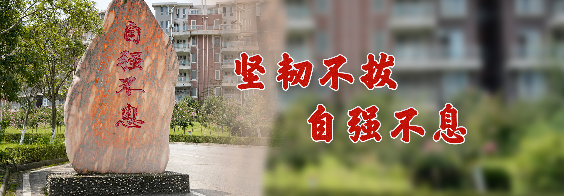 坚韧不拔 自强不息
